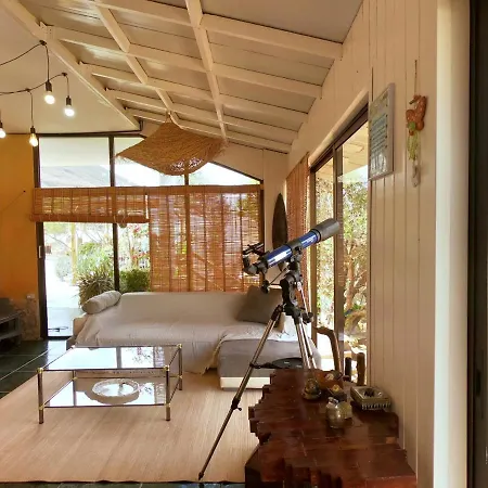 Kikiki House *
