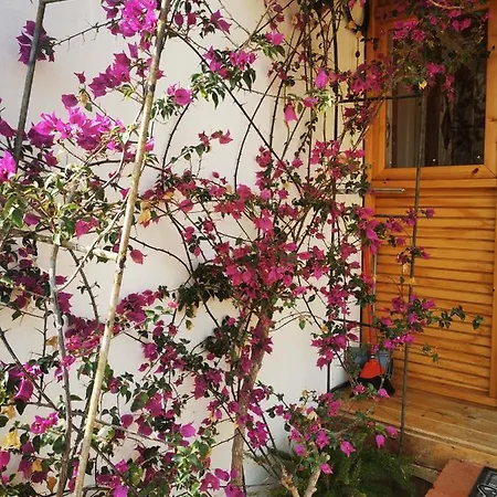 Country house Kikiki House Puerto del Rosario (Fuerteventura)