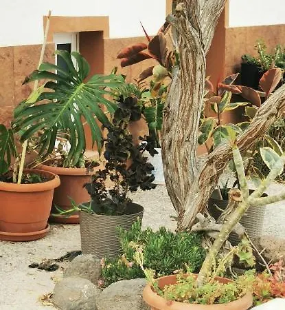 منزل ريفي Kikiki House